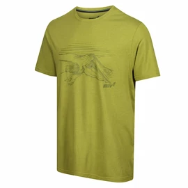 Tricou pentru bărbați Inov-8 Graphic "Helvellyn" Green