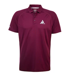 Tricou pentru bărbați Joola Shirt Airform Polo Bordeaux