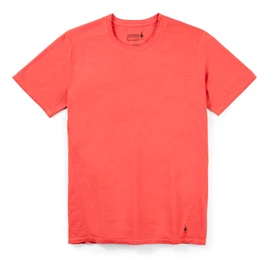 Tricou pentru bărbați Smartwool Merino 150 Plant-Based Dye Earth Red Wash