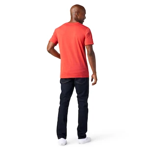 Tricou pentru bărbați Smartwool  Merino 150 Plant-Based Dye Earth Red Wash XL