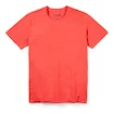 Tricou pentru bărbați Smartwool  Merino 150 Plant-Based Dye Earth Red Wash XL