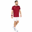 Tricou pentru bărbați Tecnifibre  Club Polo Cardinal