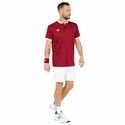 Tricou pentru bărbați Tecnifibre  Club Polo Cardinal