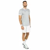 Tricou pentru bărbați Tecnifibre  Club Polo Silver