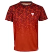 Tricou pentru bărbați Tecnifibre  X-Loop Tee Clay