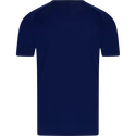 Tricou pentru bărbați Victor  T-Shirt T-33100 Blue